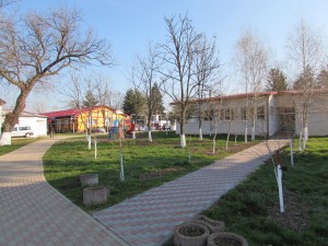 IMG_6860 (Copy)